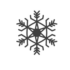 Snowflake icon. Frozen snow. Snow flake.