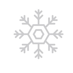 Snowflake icon. Frozen snow. Snow flake.