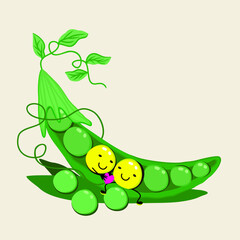 Fototapeta premium Vector bright illustration of pea pod. Two sweet peas in love in a pod. Isolated on light background. Love concept.