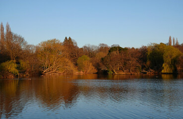 A beautiful scenic view of Lake Meadows park in Billericay, Essex, UK. 