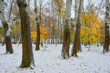 First snowfall in bright colorful city park in autumn. Lonely bench on alley under trees brabches with golden, green, orange foliage white snow covered.