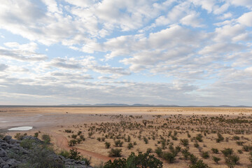Panoramic image with a waterhole ,clouds and vegetation