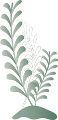 Natural flower leave plant herbal decoration background backdrop website cover page pattern graphic design illustration png