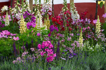 Colourful and attractive flower border