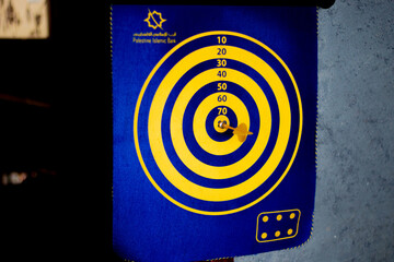 Multicolored circular dart board