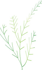 Silhouette drawing outline leave plant graphic design decoration background backdrop illustration png