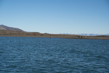 A pack of Walrus resting calmly in the coast of Svalbard, in the Arctic Sea