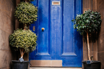 Blue wooden front door with potted plants in Scotland, beatifully decorated entry way