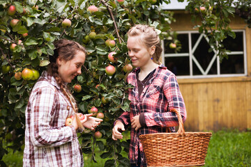 Portrait of two twin sisters in apple orchard with basket.