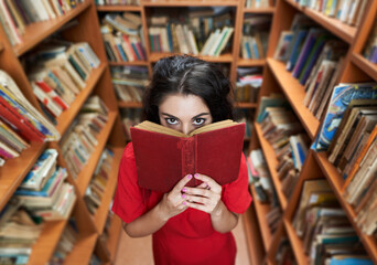 Back to school with attractive librarian in red dress