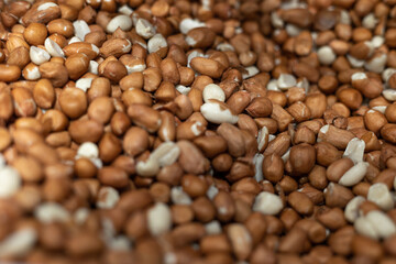 close up of peanuts on market or store