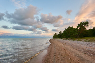 Baltic sea shore (beach) at sunset, panoramic view. Pebbles, trees. Soft sunlight, midnight sun. Saaremaa island, Estonia. Atmospheric summer landscape