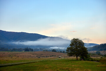beautiful mountain landscape with green forest in the Carpathian Mountains