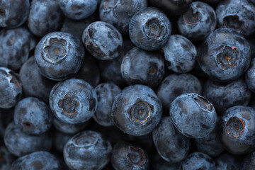 Close-up of fresh Blueberries (Northern Highbush Blueberry). Selective focus. Flat lay