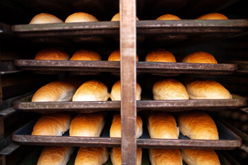 Freshly baked bread loafs on a shelf