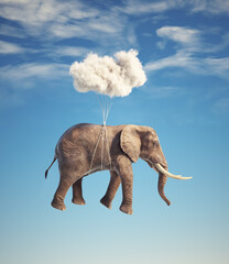 Elephant flying with a cloud.