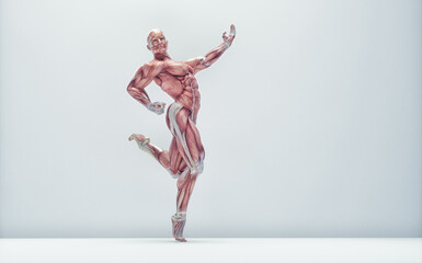 Naklejka premium Muscular system dancing on background.