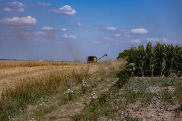 Harvest in Poland, a combine harvester during the harvest season while working on a sunny day, Rozborz, county Podkarpackie, Poland, 7th of August, 2022