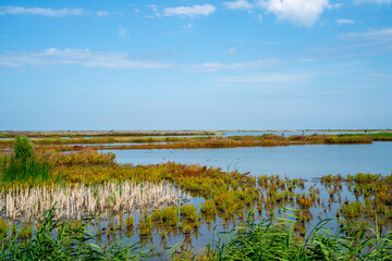 Markerwadden, new created islands in the Netherlands
