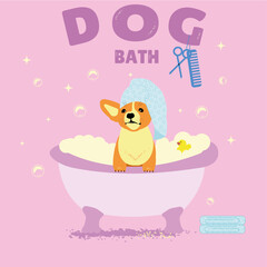 spa salon for dog