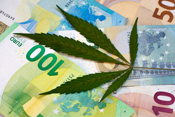Cannabisblatt liegt auf Euroscheinen