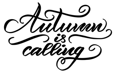 Autumn is calling hand drawn lettering phrase vector