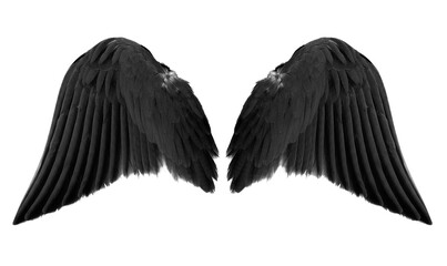 black angel wings isolated