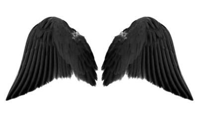 black angel wings isolated
