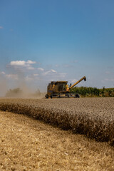 Obraz premium Harvest in Poland, a combine harvester during the harvest season while working on a sunny day, Rozborz, county Podkarpackie, Poland, 7th of August, 2022