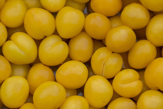 Fresh ripe mellow yellow plums (cherry plums) background pattern close up