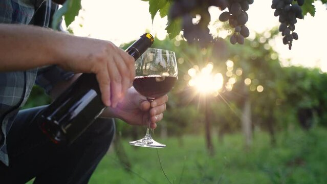 slowly pours wine into the glass then stirs, sunset, in the winery. close up, red wine, wine bottle, vine