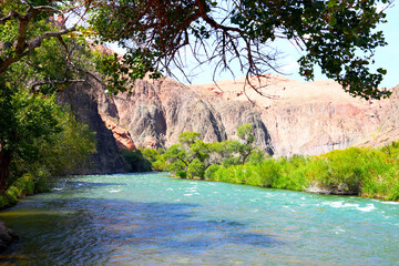 trees and a river in the canyon. beautiful mountain landscape