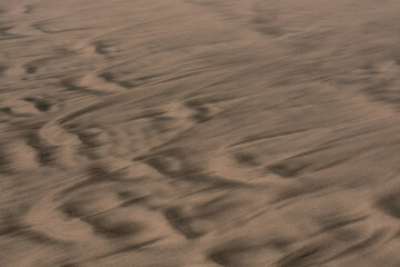 Gold desert Sand texture on the beach