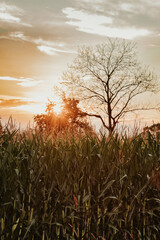 Rural landscapes in the light of the rising sun, golden hour photo shoot, Podkarpackie County, Poland, August, 2022