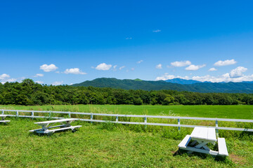 Fototapeta na wymiar 【山梨県】清里高原の牧場風景と富士山