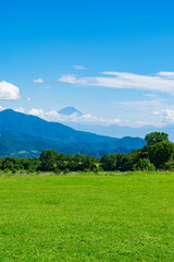 Fototapeta na wymiar 【山梨県】清里高原の牧場風景と富士山