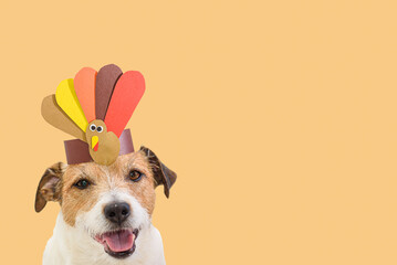 Dog wearing self-made paper party hat with Thanksgiving turkey. Background for holiday card or...