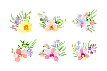 Fototapeta na wymiar Fragrant Orchid Blooms with Labellum Arranged with Floral Branches Vector Set