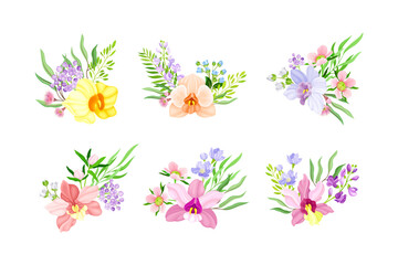 Fragrant Orchid Blooms with Labellum Arranged with Floral Branches Vector Set © Happypictures