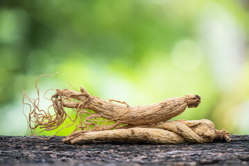 Ginseng or Panax ginseng on bokeh nature background.