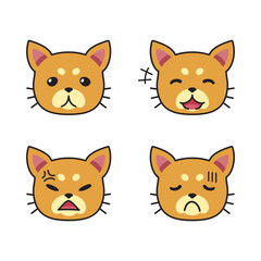 Set of cat faces showing different emotions for design.