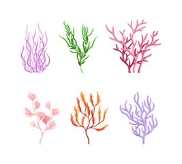 Colorful Coral as Marine Invertebrate from Ocean Bottom Vector Set