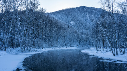 A calm, ice-free river in a winter forest. On the banks there are trees covered with snow. Mountains against the sky. Reflection in the water. Pastel shades of blue and gray. Altai