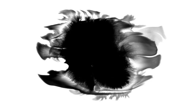 70 Ink drops on white background