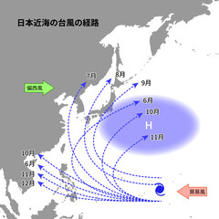 日本近海の台風の経路