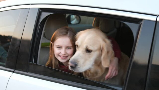 Girl child with golden retriever dog sitting in car and looking outside. Pretty kid with doggy pet labrador in vehicle at nature