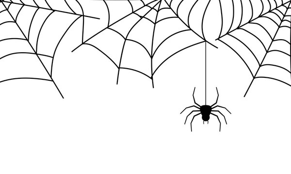 Black spider with net. Banner for Halloween with copy space. Vector illustration.