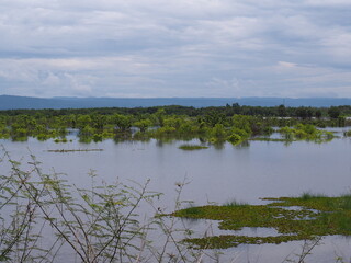 Landscape near the river in the rainy season