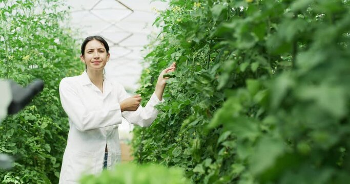 Plant science, sustainability woman or agriculture research on environment farm, nature greenhouse or trees garden. Worried scientist portrait, eco growth mindset for carbon capture or net zero earth