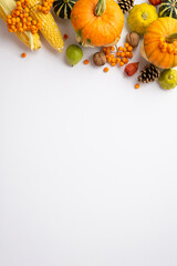 Thanksgiving day concept. Top view vertical photo of raw vegetables pumpkins maize pattypans pear walnuts pine cones rowan berries and physalis on isolated white background with copyspace